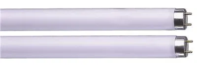 Linear Fluorescent Lamp T8 32 Watts 3500K 75 Cri Medium Bipin 48 Inch  25 Per Case