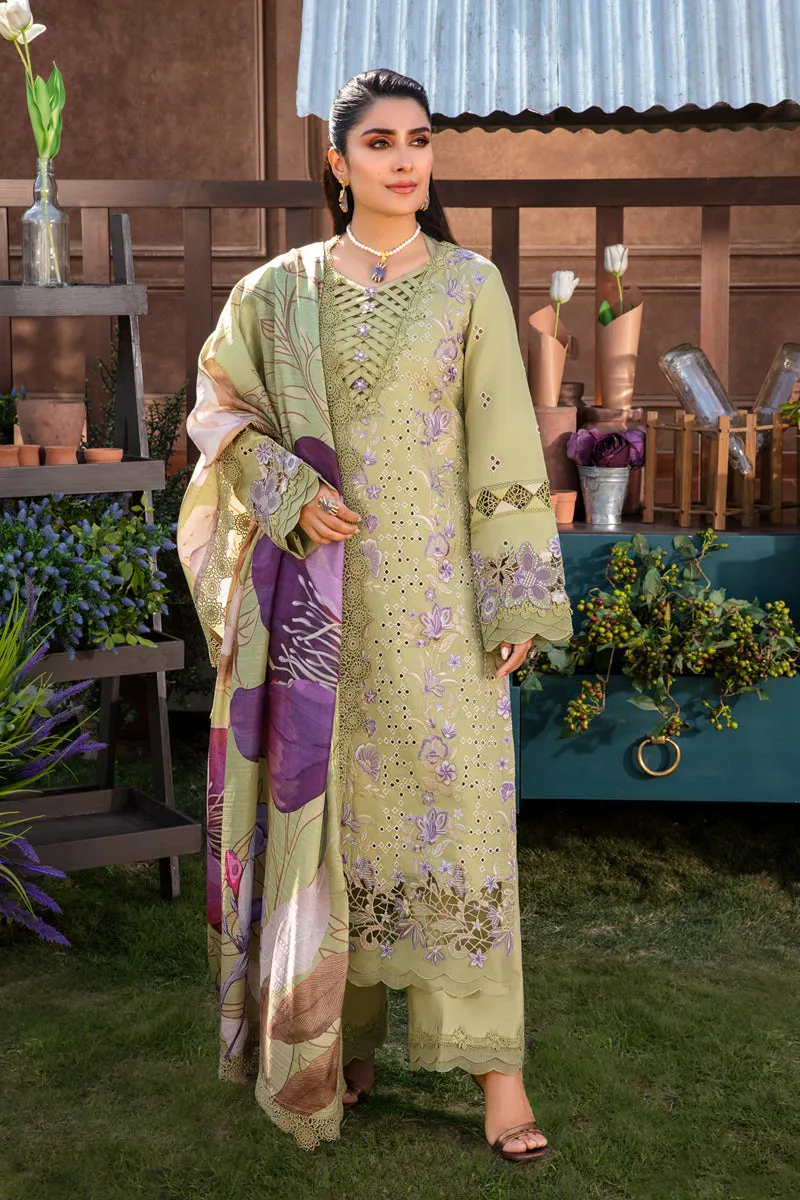 Rang Rasiya Luxury Festive Lawn Collection – Aysel