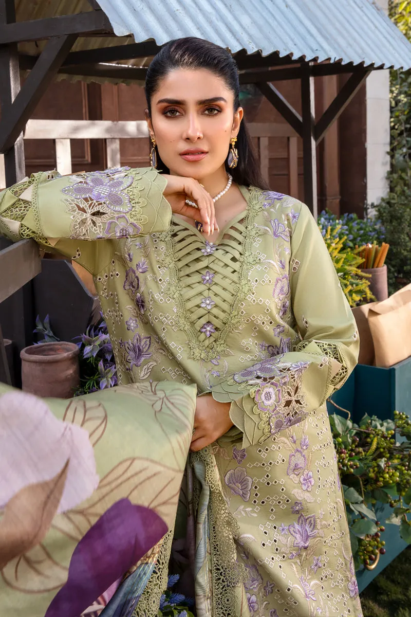 Rang Rasiya Luxury Festive Lawn Collection – Aysel