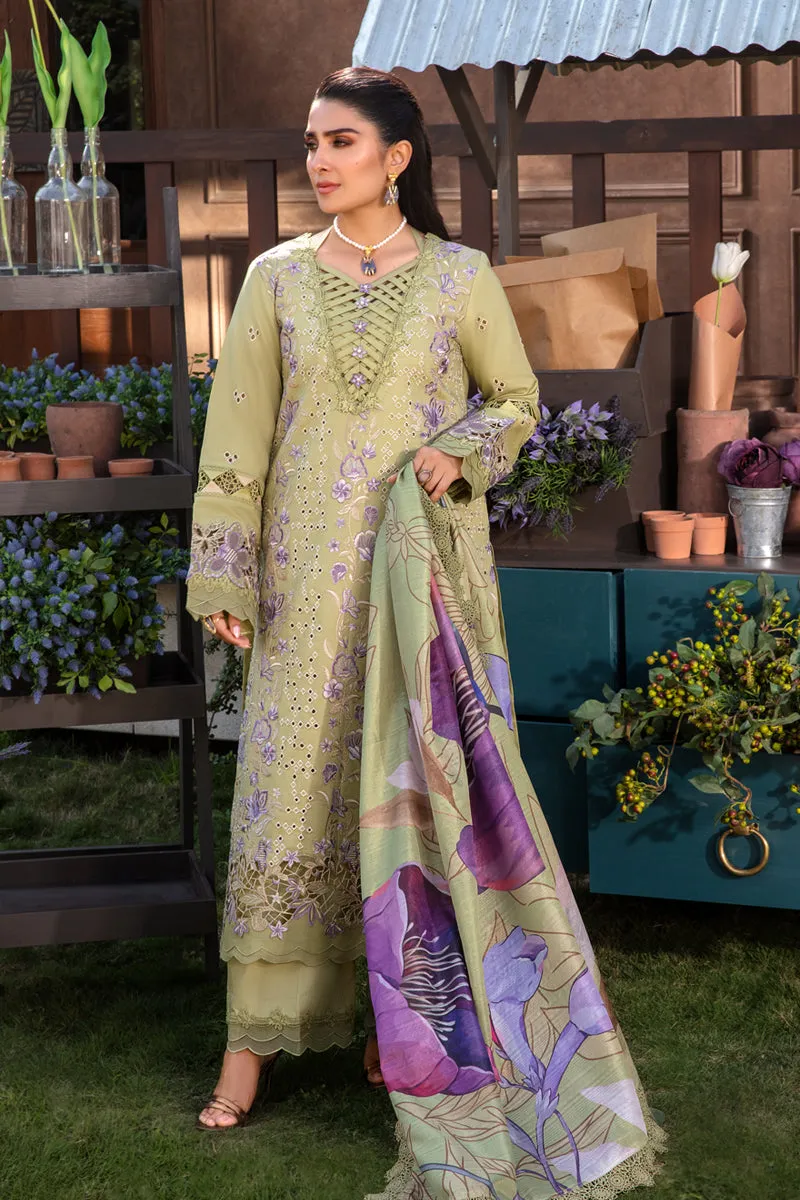 Rang Rasiya Luxury Festive Lawn Collection – Aysel