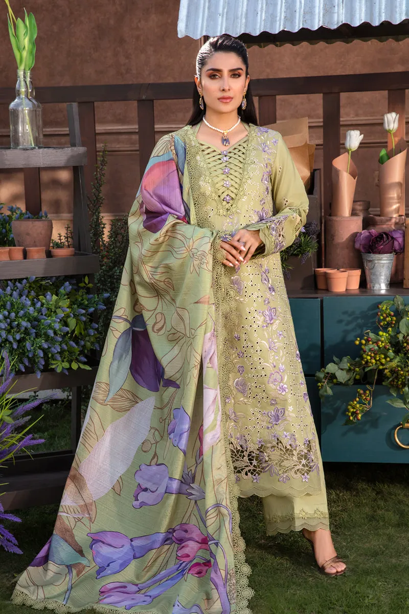 Rang Rasiya Luxury Festive Lawn Collection – Aysel