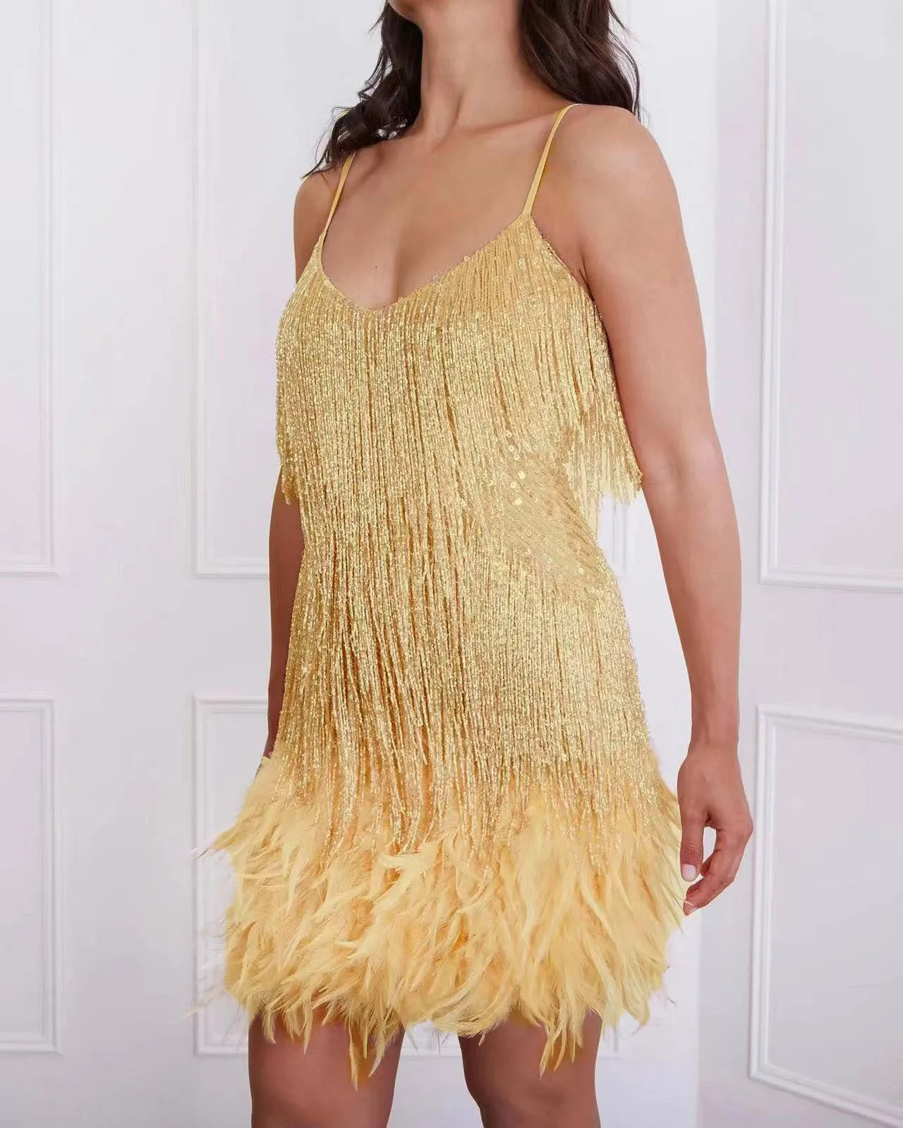 Stylish fringed sequin feather panels dress dress